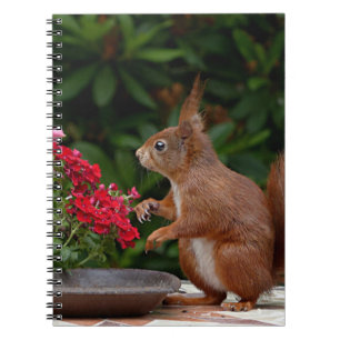 Cuaderno Ardilla roja y blanca con arbusto flor roja