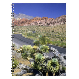 Cuaderno Área de Conservación Nacional Red Rock Canyon, Las