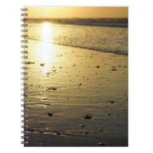 Cuaderno Arena Dorada Vidriosa
