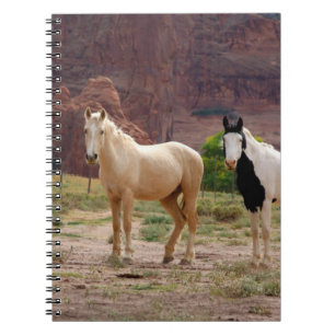 Cuaderno Arizona, Reserva de indios navajos, Chinle,
