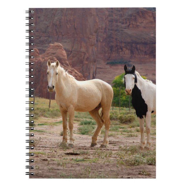 Cuaderno Arizona, Reserva de indios navajos, Chinle, (Frente)