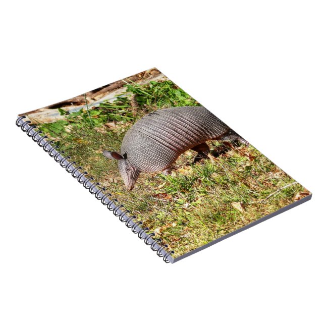 Cuaderno Armadillo (Lado Derecho)