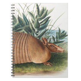 Cuaderno Armadillo dorado beige de nueve bandas