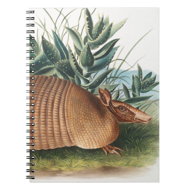 Cuaderno Armadillo dorado beige de nueve bandas (Frente)