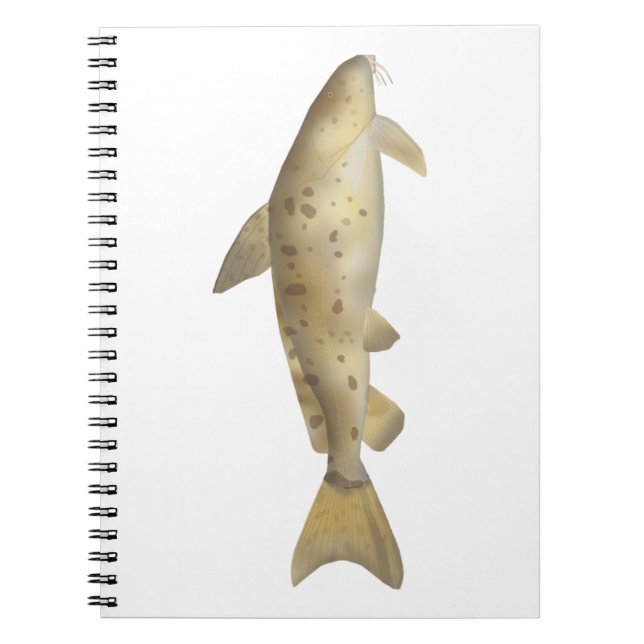 Cuaderno Armado (Frente)