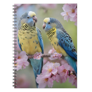 Cuaderno Armonía de primavera: burocracia azul y amarilla