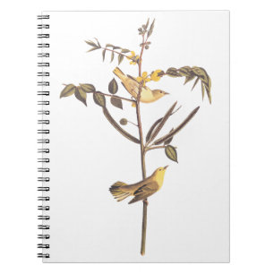 Cuaderno Aroma Audubon
