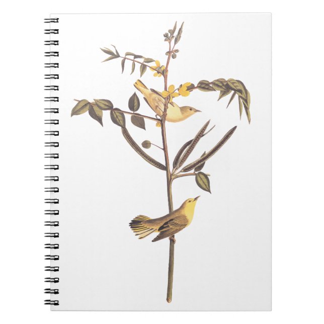 Cuaderno Aroma Audubon (Frente)
