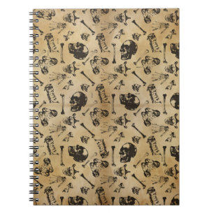 Cuaderno Arqueología de la anatomía ósea