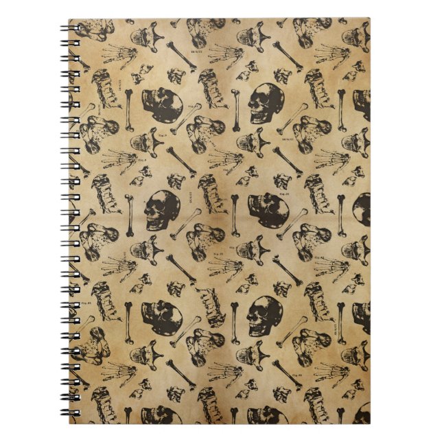 Cuaderno Arqueología de la anatomía ósea (Frente)