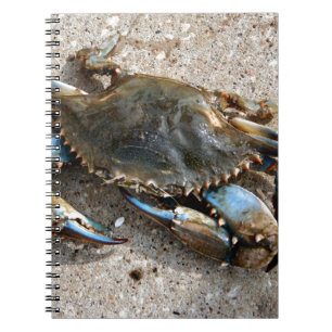 Cuaderno Arrastre del cangrejo azul