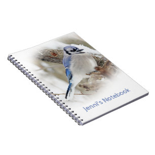 Cuaderno Arrendajo azul en nieve del invierno