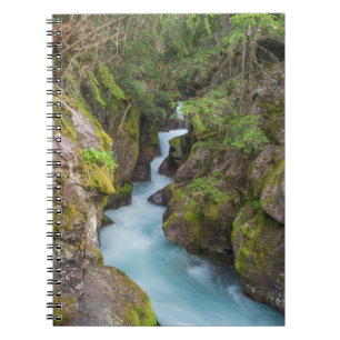 Cuaderno Arroyo Avalanche, Parque Nacional Glaciar, Montana