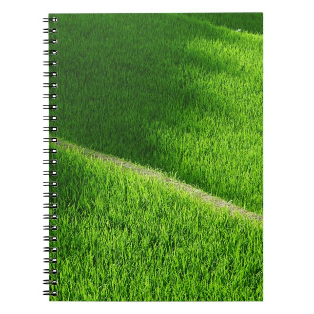 Cuaderno Arroz con terrazas campos de arroz de Yamada Japón (Frente)