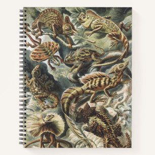 Cuaderno Arte Antiguo de la Naturaleza de Reptiles y Lagart