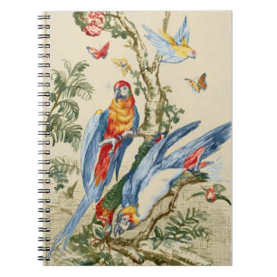 Cuaderno Arte Antiguo de Loro Tropical y Mariposa