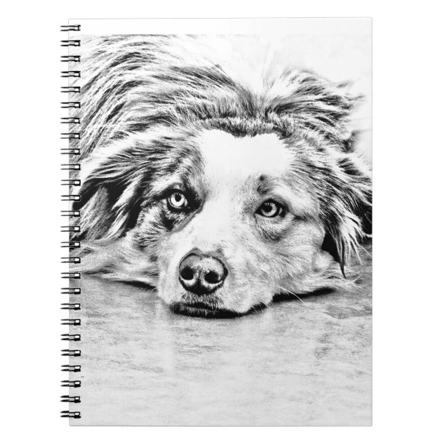 Cuaderno Arte australiano del perro de pastor (Frente)