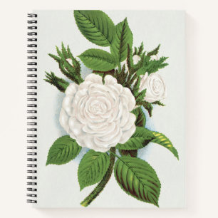 Cuaderno Arte Botánico Cottagecore de Rosa Musgo Blanca Vin