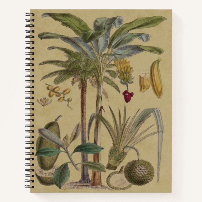 Cuaderno Arte botánico de frutas tropicales palmo antiguo (Anverso)