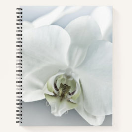 Cuaderno Arte Botánico de Orquídea Blanca Elegante