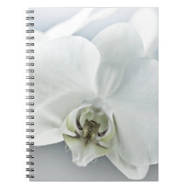 Cuaderno Arte Botánico de Orquídea Blanca Elegante