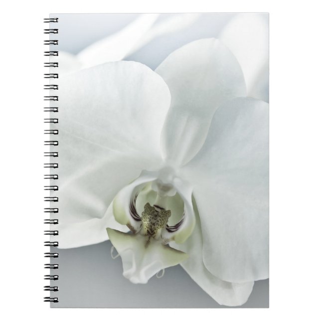Cuaderno Arte Botánico de Orquídea Blanca Elegante (Frente)