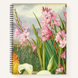 Cuaderno Arte botánico: Las bellezas del pantano