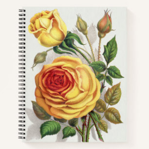 Cuaderno Arte Botánico Vintage Rosa Amarilla y Naranja de A