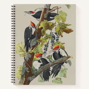 Cuaderno Arte de ave carpintero pileado Audubon vintage