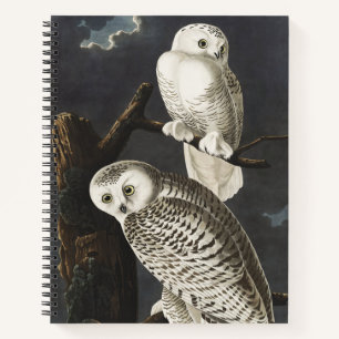 Cuaderno Arte de ave nocturna de búho nevado Audubon vintag