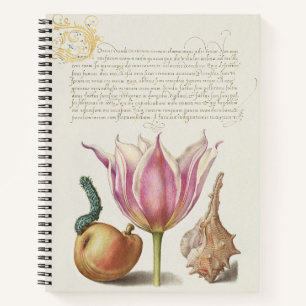 Cuaderno Arte de Caligrafía del Renacimiento Flor de Tulipá