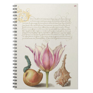 Cuaderno Arte de Caligrafía del Renacimiento Tulipán Rosa y