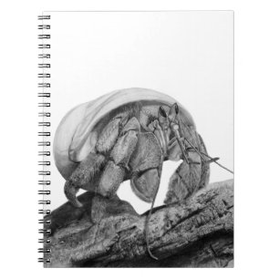 Cuaderno Arte de Cangrejo Ermitaño Ecuatoriano