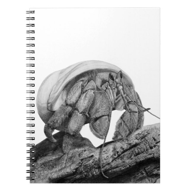 Cuaderno Arte de Cangrejo Ermitaño Ecuatoriano (Frente)