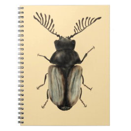 Cuaderno arte de entomología de los insectos de Guay