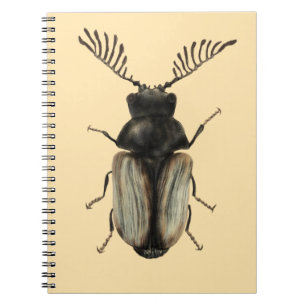 Cuaderno arte de entomología de los insectos de Guay