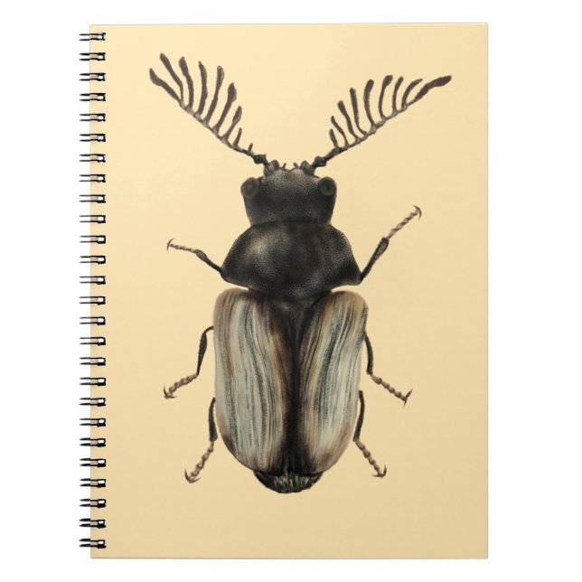 Cuaderno arte de entomología de los insectos de Guay (Frente)