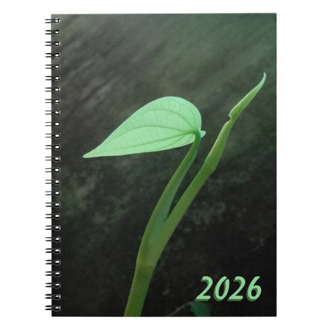 CUADERNO ARTE DE FLORES NATURALES PARA REGALO 2026 (Frente)