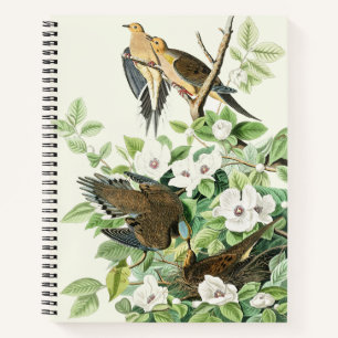 Cuaderno Arte de flores y aves de Audubon de la paloma llor