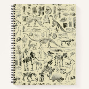 Cuaderno Arte de fósiles de huesos de dinosaurios antiguos