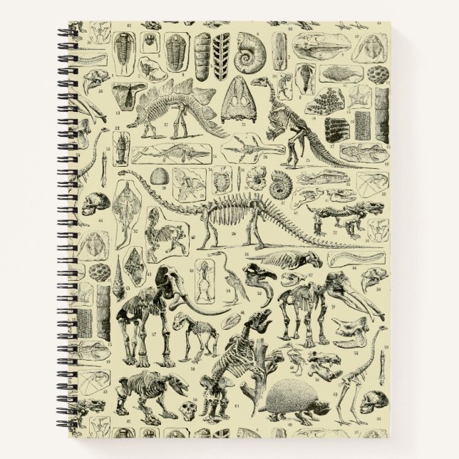 Cuaderno Arte de fósiles de huesos de dinosaurios antiguos (Anverso)