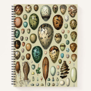 Cuaderno Arte de huevo de pájaro vintage de Adolphe Millot 