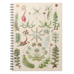 Cuaderno Arte de la Naturaleza Científica Ernst Haeckel Hep