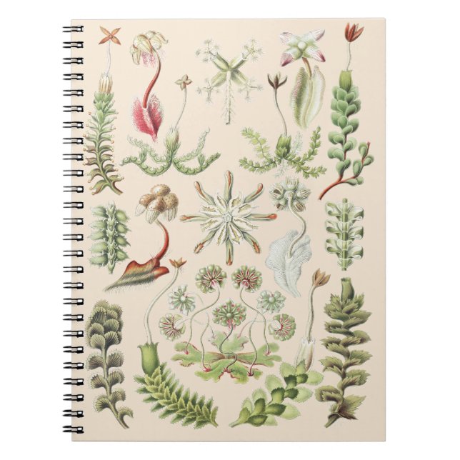 Cuaderno Arte de la Naturaleza Científica Ernst Haeckel Hep (Frente)