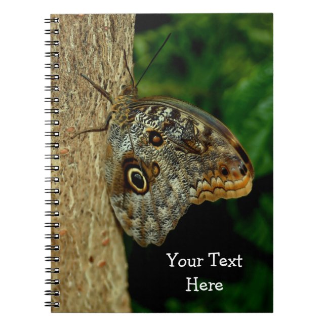 Cuaderno Arte de la naturaleza de la mariposa marrón (Frente)