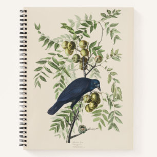 Cuaderno Arte de la naturaleza del cuervo americano Audubon