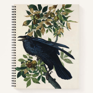 Cuaderno Arte de la Naturaleza del Cuervo de Audubon Vintag