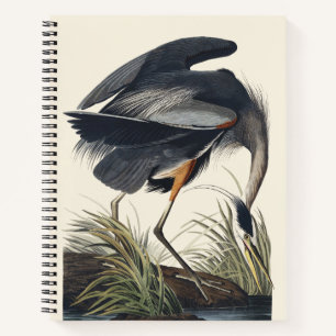 Cuaderno Arte de la naturaleza del gran garzón azul vintage