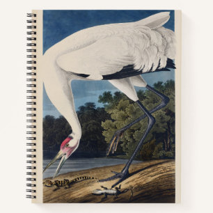 Cuaderno Arte de la Naturaleza del Pájaro Grulla Trompetera