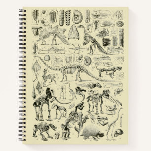 Cuaderno Arte de los fósiles óseos de los dinosaurios vinta